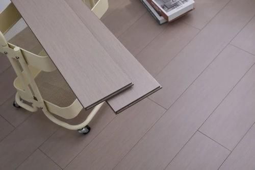 愛梵尼地板純實木渠道系列產品效果圖展示與試模成果